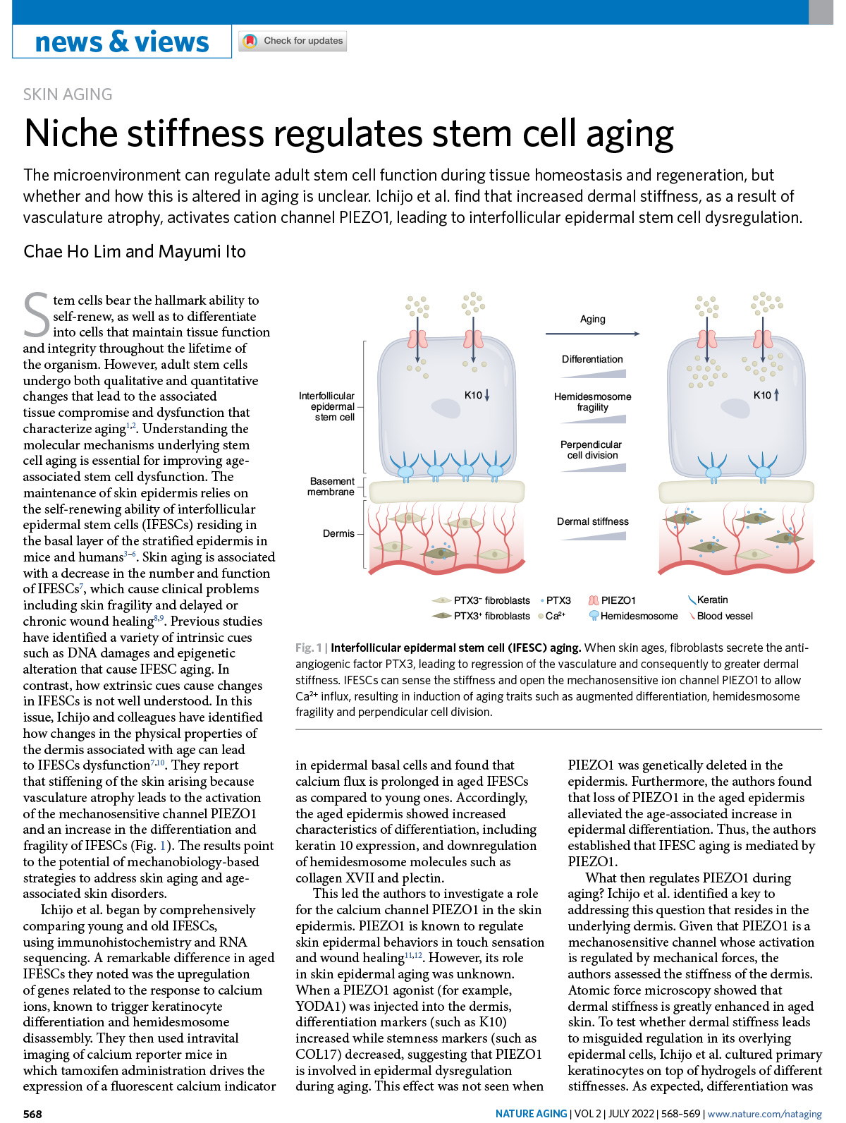 b3963-Niche-stiffness-regulates-stem-cell-aging-1.jpg